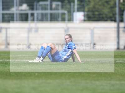 Bild-ID: 2487993