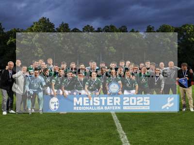 Bild-ID: 2488289