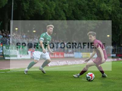 Bild-ID: 2488479