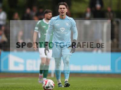 Bild-ID: 2488576