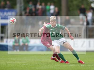 Bild-ID: 2488594