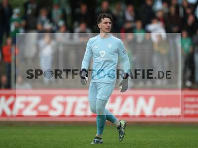 Bild-ID: 2488648