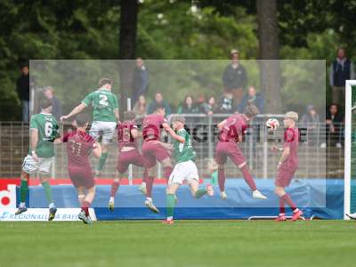 Bild-ID: 2488669