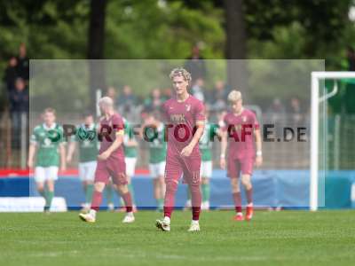 Bild-ID: 2488682