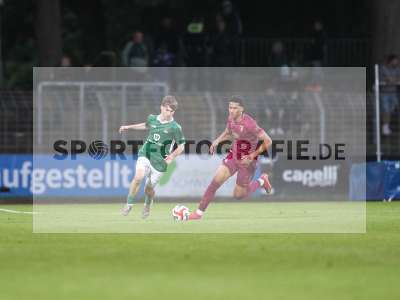 Bild-ID: 2488869