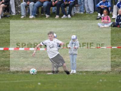 Bild-ID: 2489083
