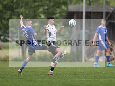 Bild-ID: 2489166