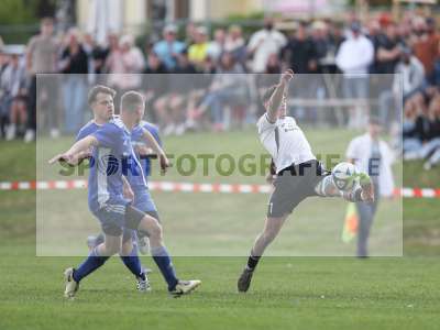 Bild-ID: 2489306