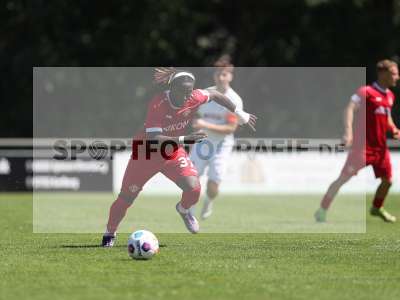 Bild-ID: 2490853