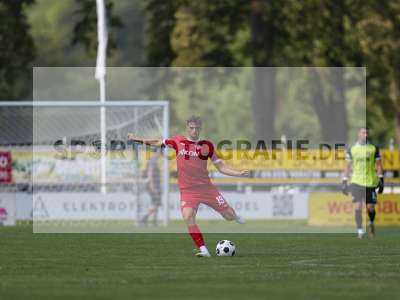 Bild-ID: 2491058