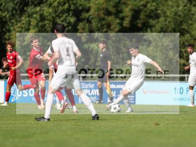 Bild-ID: 2491080