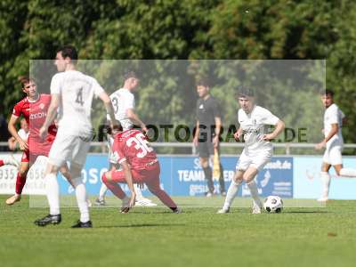 Bild-ID: 2491081