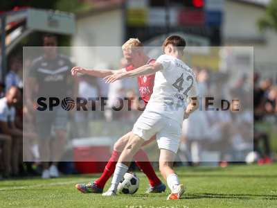 Bild-ID: 2491102