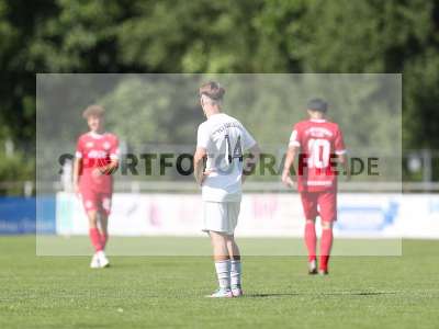 Bild-ID: 2491142