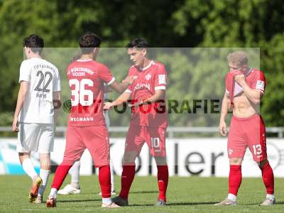 Bild-ID: 2491178