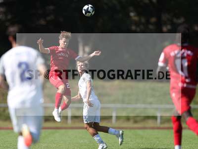 Bild-ID: 2491409