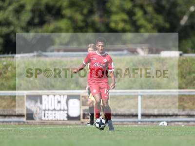 Bild-ID: 2491851