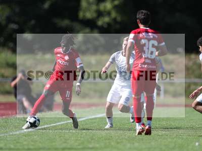 Bild-ID: 2491937
