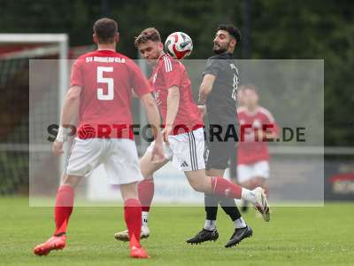 Bild-ID: 2494656