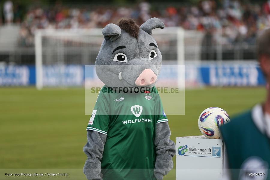 sport, action, Schweinfurt, Sachs-Stadion, Fussball, FCS, FCE, Energie Cottbus, DFB, 3. Liga, 2. Spieltag, 1. FC Schweinfurt 1905, 08.08.2025 - Bild-ID: 2498517