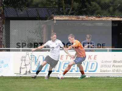 Fotos von SV Darmstadt 98 - 1. FC Schweinfurt 1905 auf sportfotografie.de