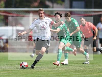 Bild-ID: 2500151