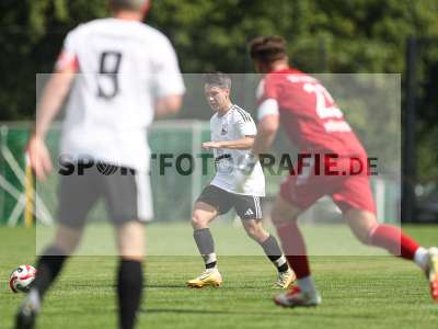 Bild-ID: 2500216