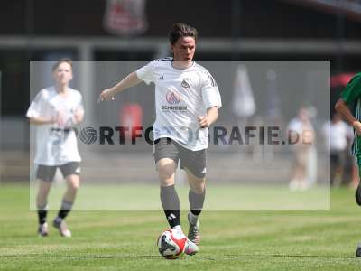 Bild-ID: 2500251