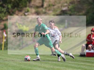 Bild-ID: 2500288