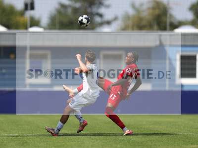 Bild-ID: 2500635