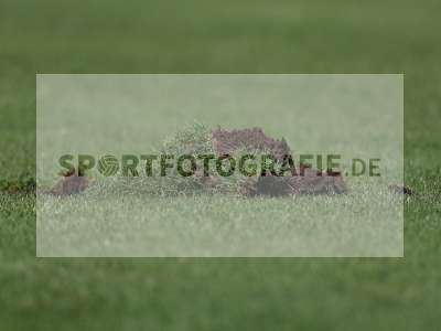 Bild-ID: 2500705