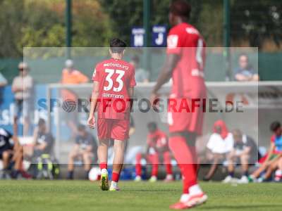 Bild-ID: 2500884
