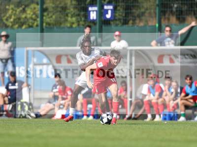 Bild-ID: 2500981