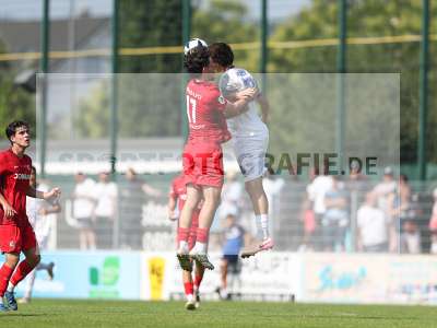 Bild-ID: 2500984