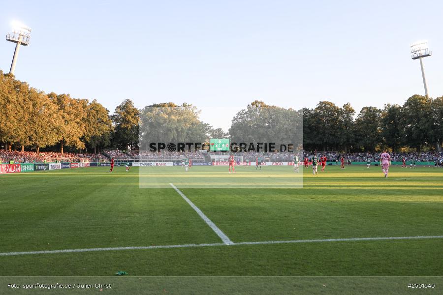 sport, action, Schweinfurt, Sachs-Stadion, Fussball, Fortuna Düsseldorf, FCS, F95, DFB-Pokal, DFB, 18.08.2025, 1. Runde, 1. FC Schweinfurt 1905 - Bild-ID: 2501640 sport, action, Schweinfurt, Sachs-Stadion, Fussball, Fortuna Düsseldorf, FCS, F95, DFB-Pokal, DFB, 18.08.2025, 1. Runde, 1. FC Schweinfurt 1905 - Bild-ID: 2501640