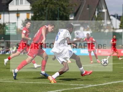 Bild-ID: 2501037