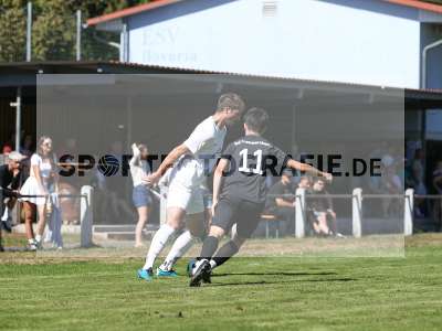 Bild-ID: 2501184