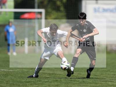 Bild-ID: 2501246