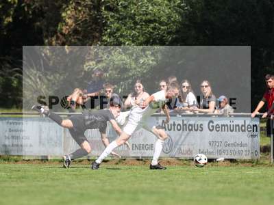 Bild-ID: 2501249
