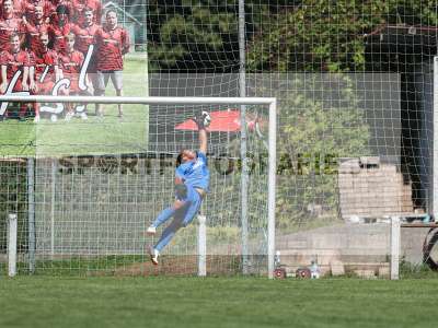 Bild-ID: 2501297
