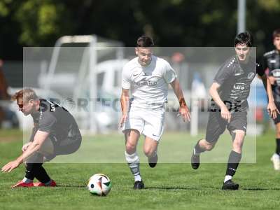 Bild-ID: 2501313