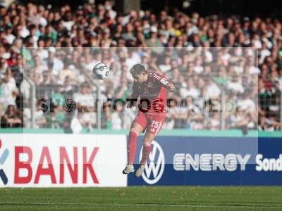 Bild-ID: 2501419
