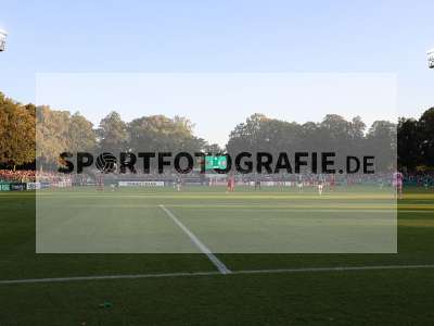 Bild-ID: 2501455