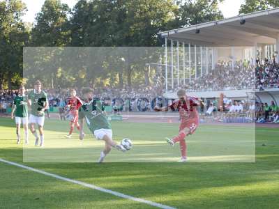 Bild-ID: 2501732