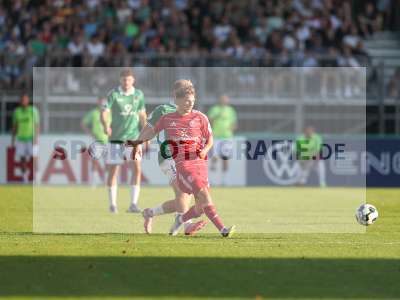 Bild-ID: 2501859