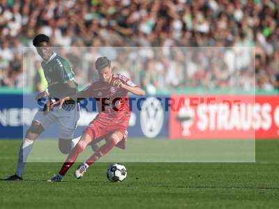 Bild-ID: 2502131
