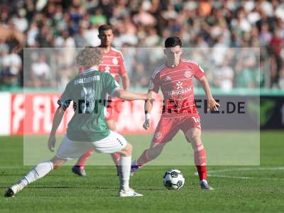 Bild-ID: 2502146