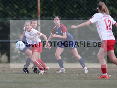Bild-ID: 2502932