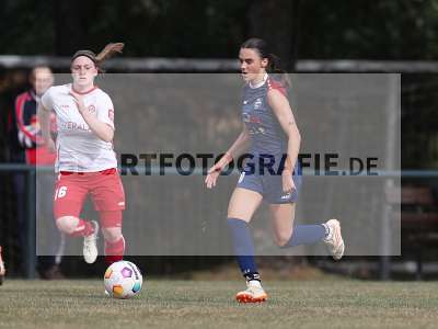 Bild-ID: 2502948