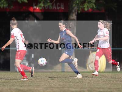 Bild-ID: 2502949